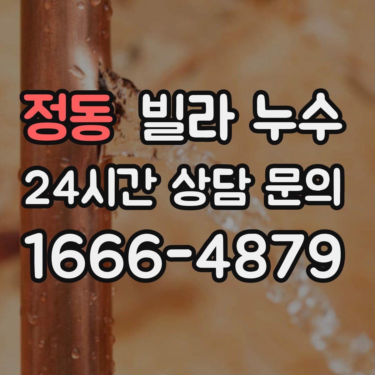 정동 빌라 누수 세탁실 배수구가 넘치면 누수처럼 보일 수 있어요