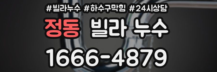 정동 빌라 누수