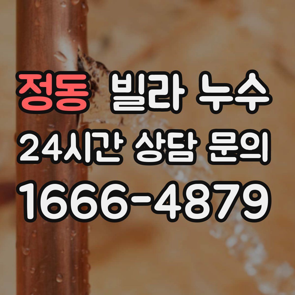 정동 빌라 누수