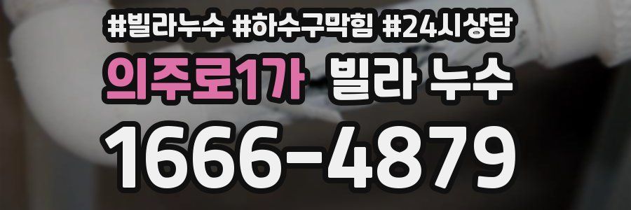 의주로1가 빌라 누수