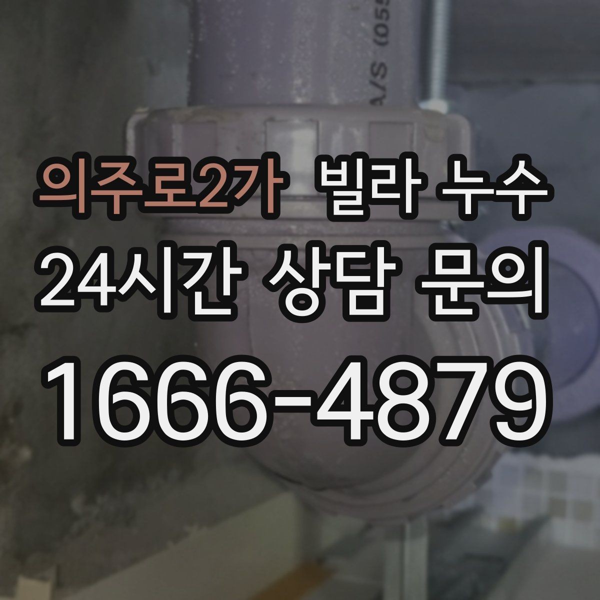 의주로2가 빌라 누수 세탁기 호스 주변 누수로 바닥이 젖는 경우