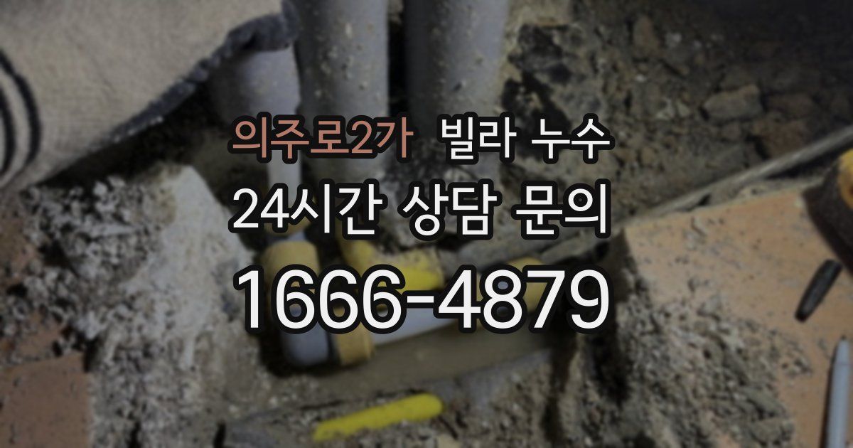 의주로2가 빌라 누수