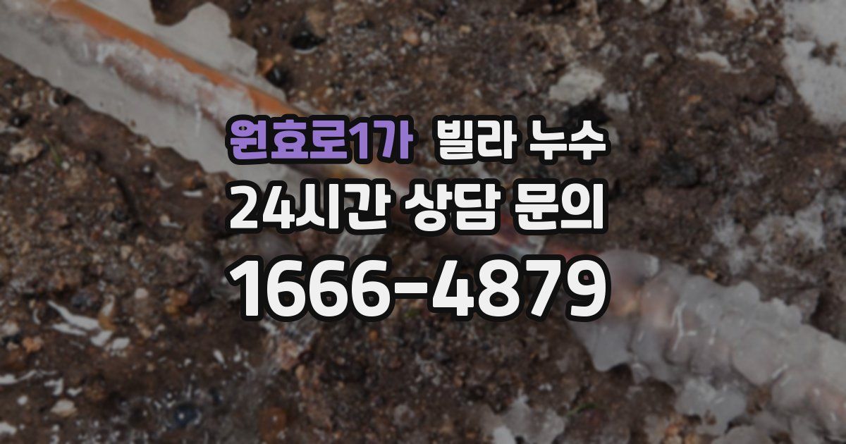 원효로1가 빌라 누수