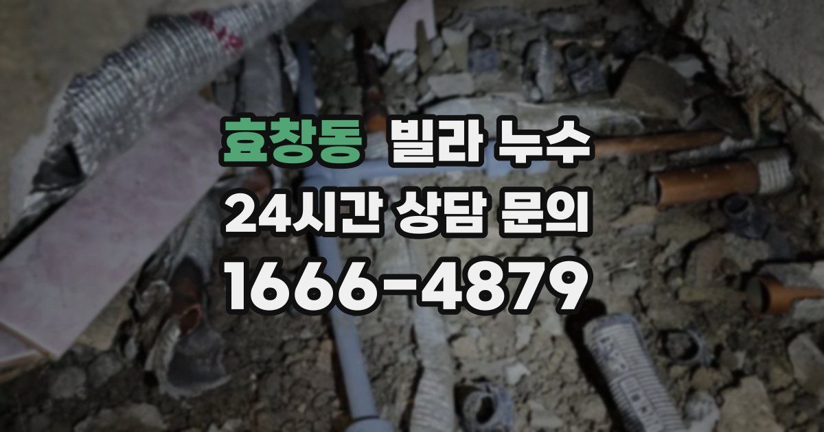 효창동 빌라 누수