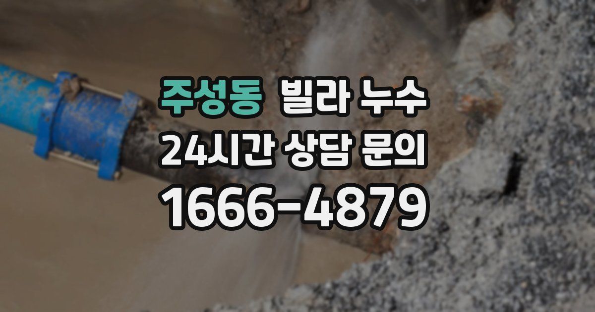 주성동 빌라 누수