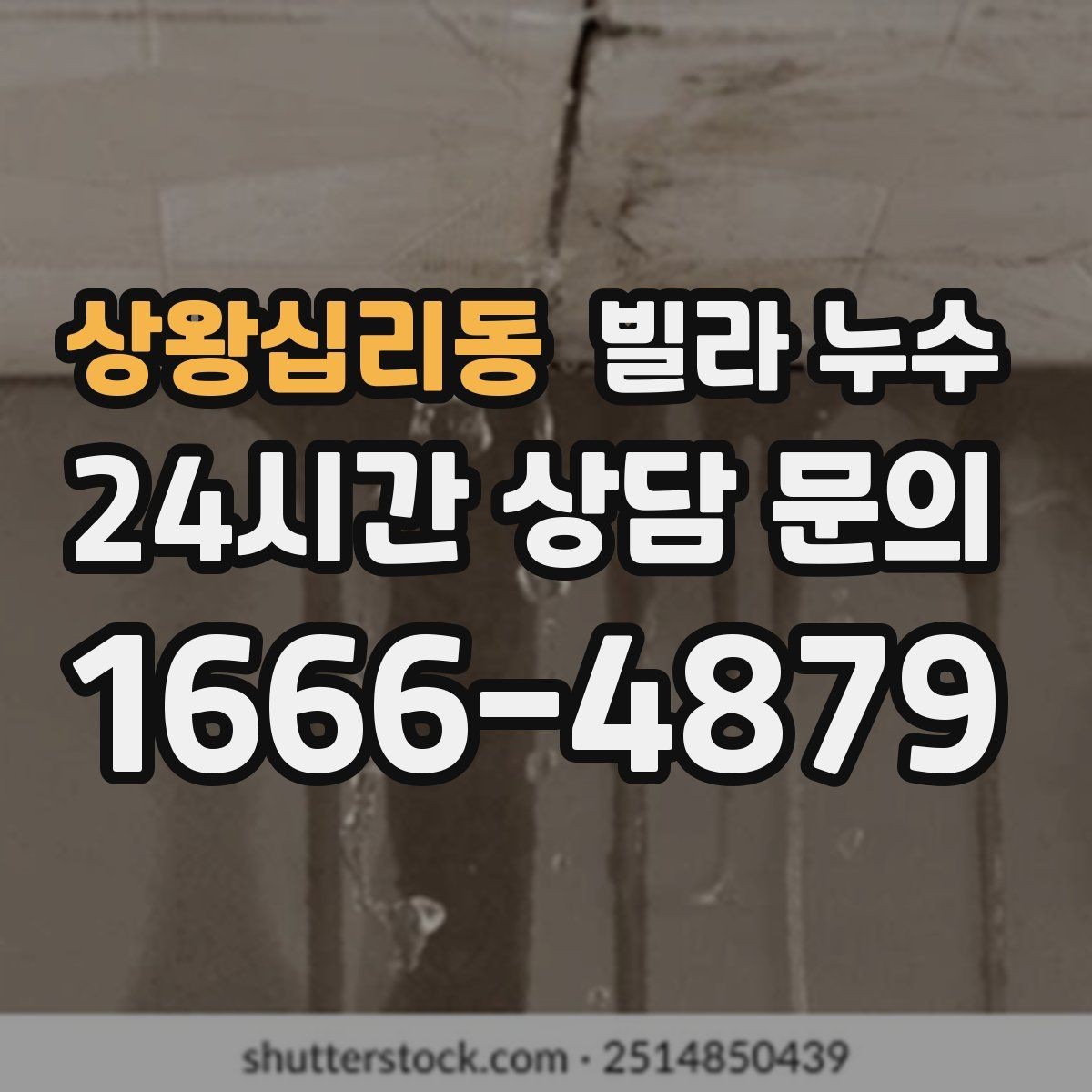 상왕십리동 빌라 누수 벽 뒤편 곰팡이가 반복되면 누수 의심