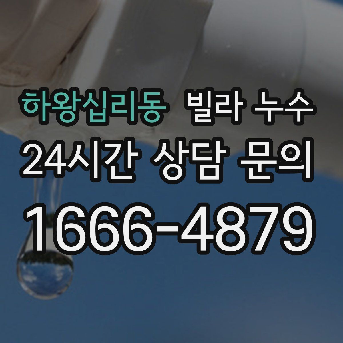하왕십리동 빌라 누수 가구 뒤 벽이 젖어 곰팡이가 생길 때
