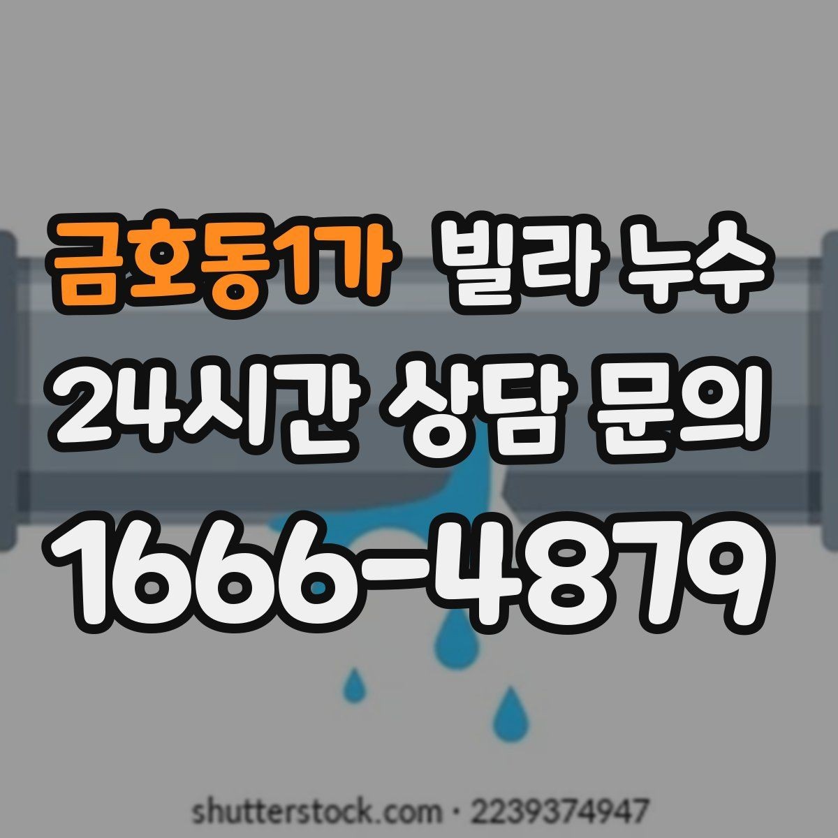 금호동1가 빌라 누수 누수 흔적 위치별 원인 추정 포인트