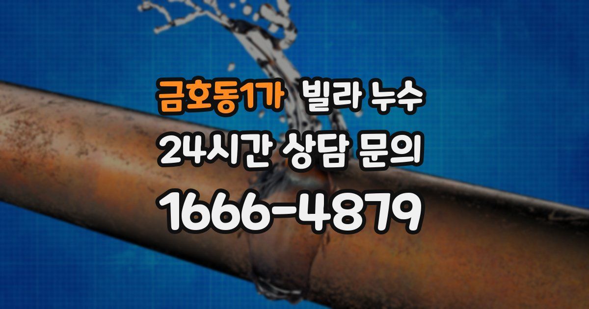 금호동1가 빌라 누수