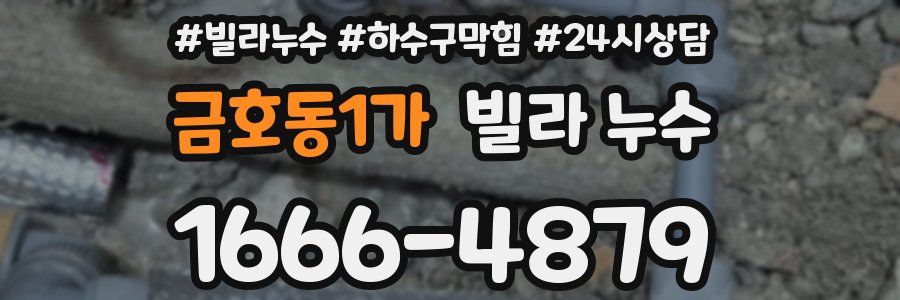 금호동1가 빌라 누수