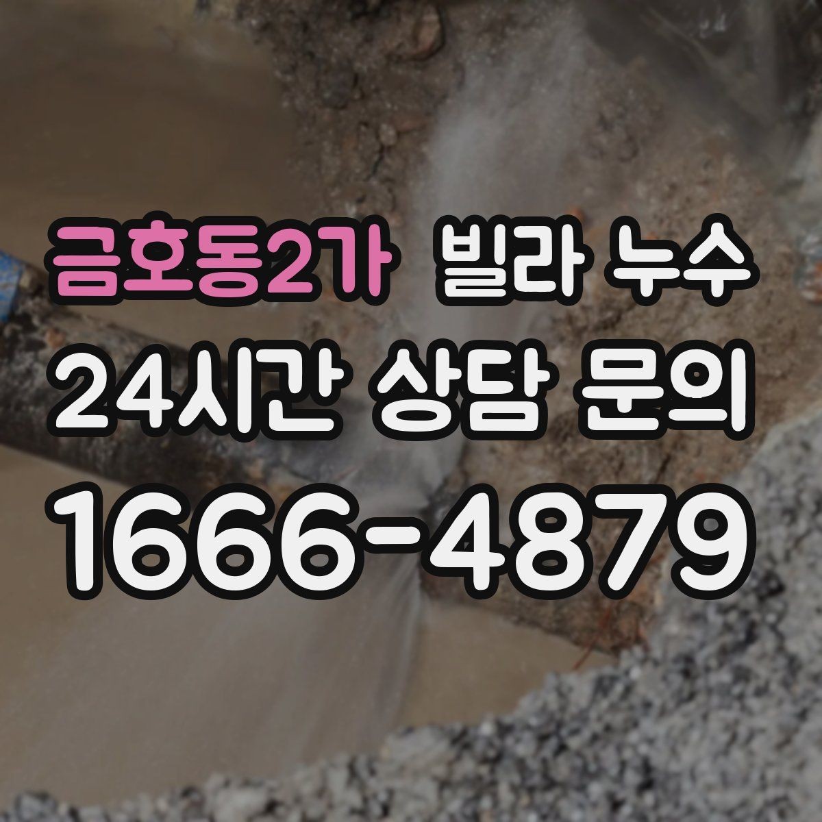 금호동2가 빌라 누수 섣불리 뜯기 전에 원인부터 확인하세요