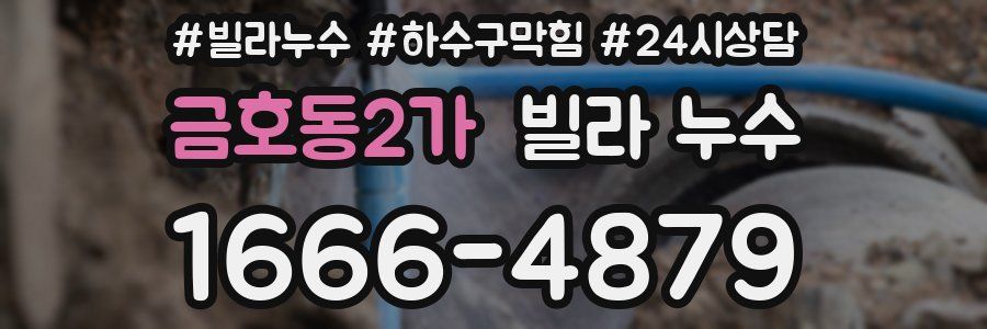 금호동2가 빌라 누수