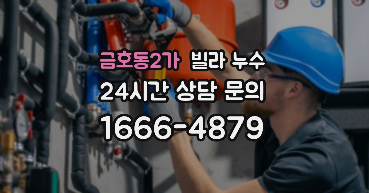 금호동2가 빌라 누수