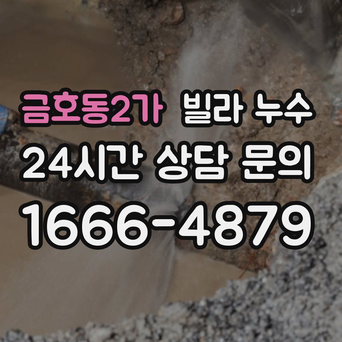 금호동2가 빌라 누수