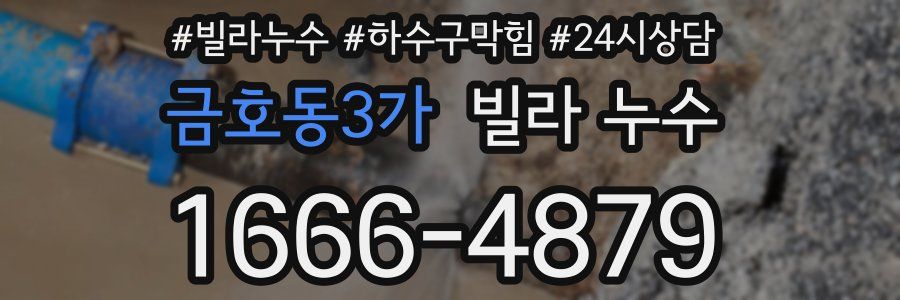 금호동3가 빌라 누수