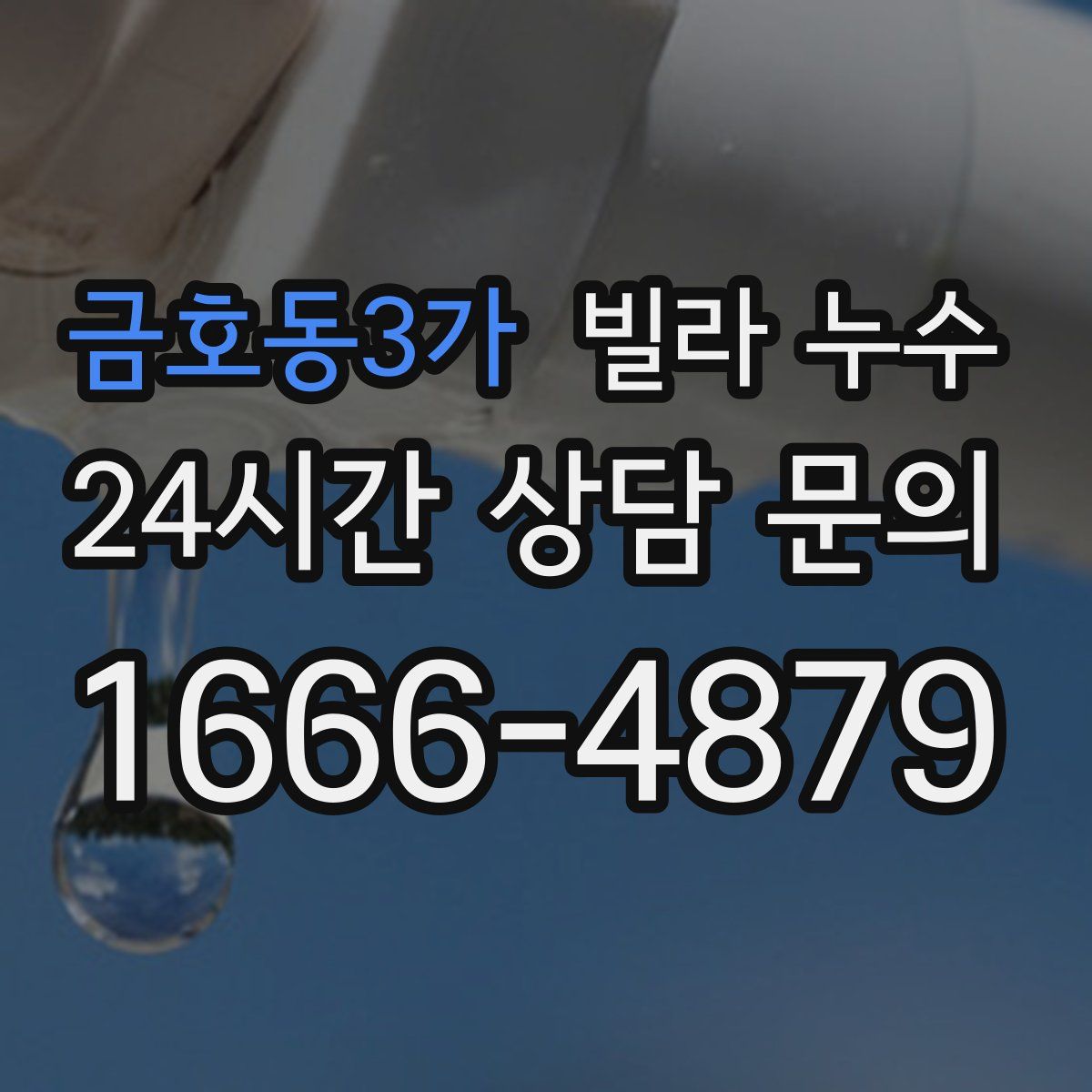 금호동3가 빌라 누수