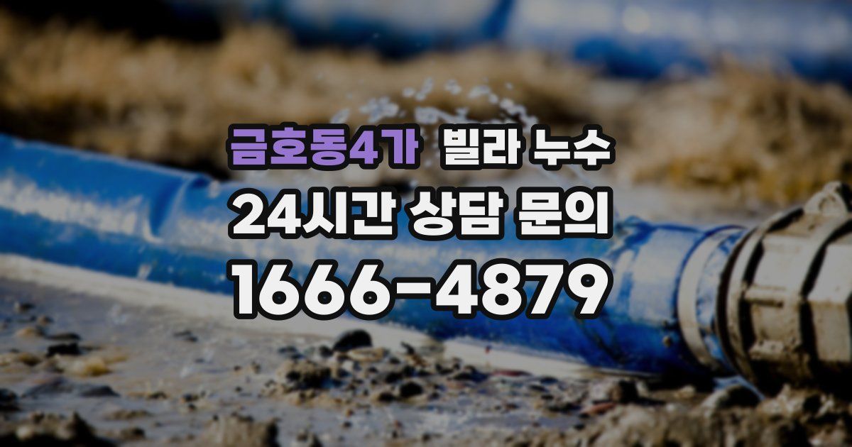 금호동4가 빌라 누수