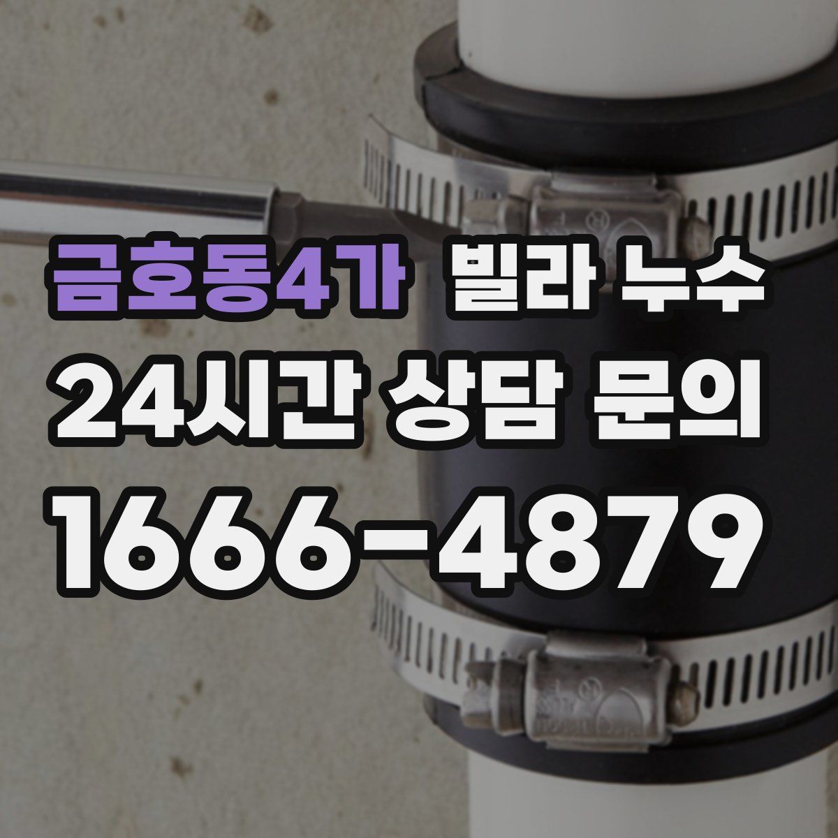 금호동4가 빌라 누수