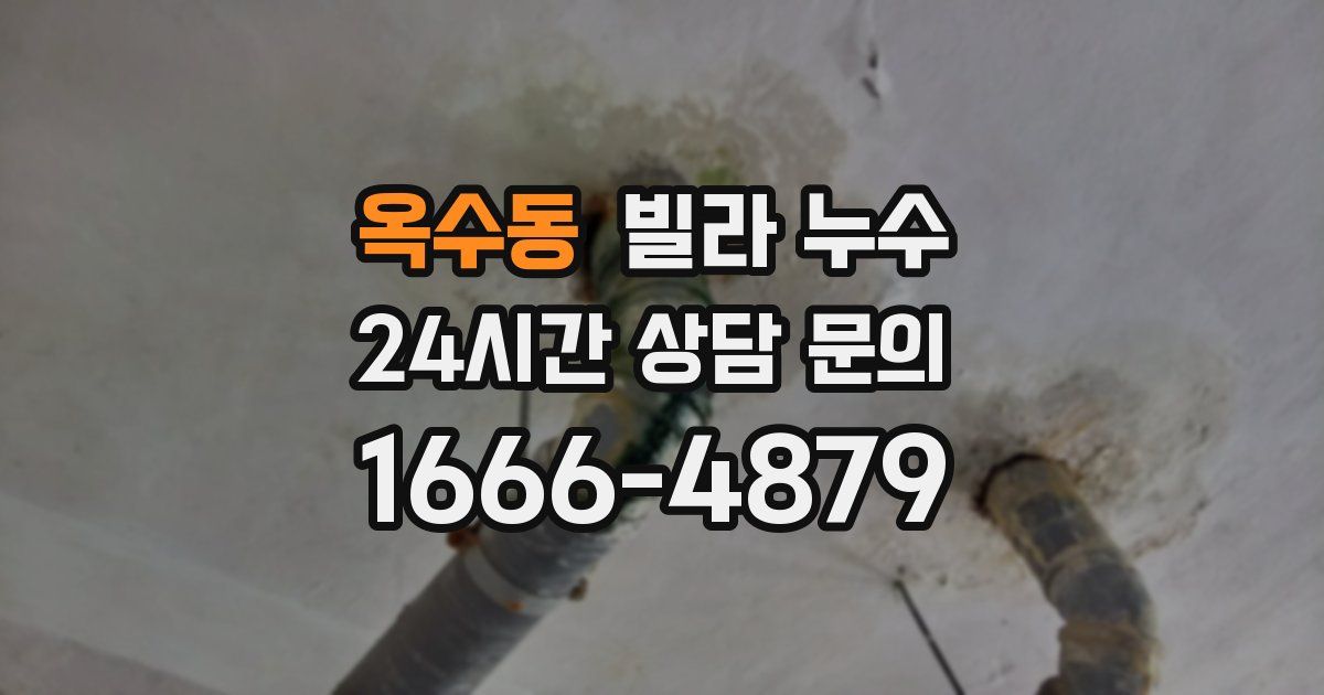 옥수동 빌라 누수