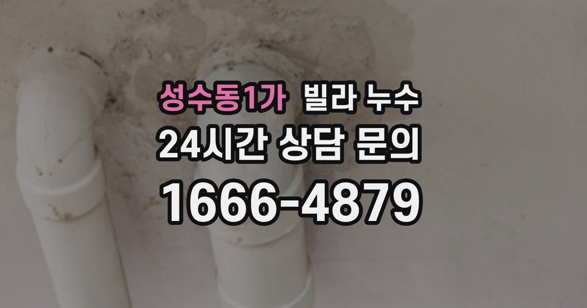 성수동1가 빌라 누수