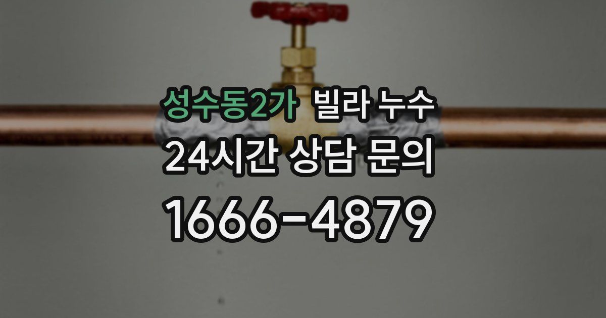 성수동2가 빌라 누수