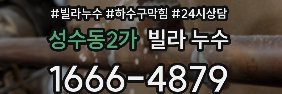 성수동2가 빌라 누수