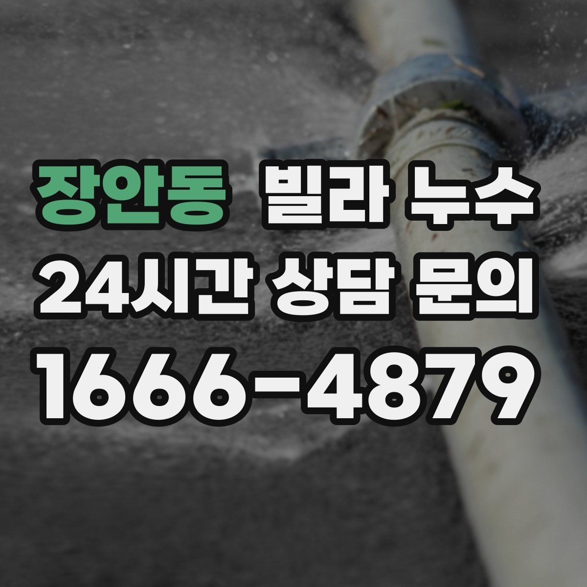 장안동 빌라 누수 방 한쪽만 눅눅해지는 느낌이 들 때
