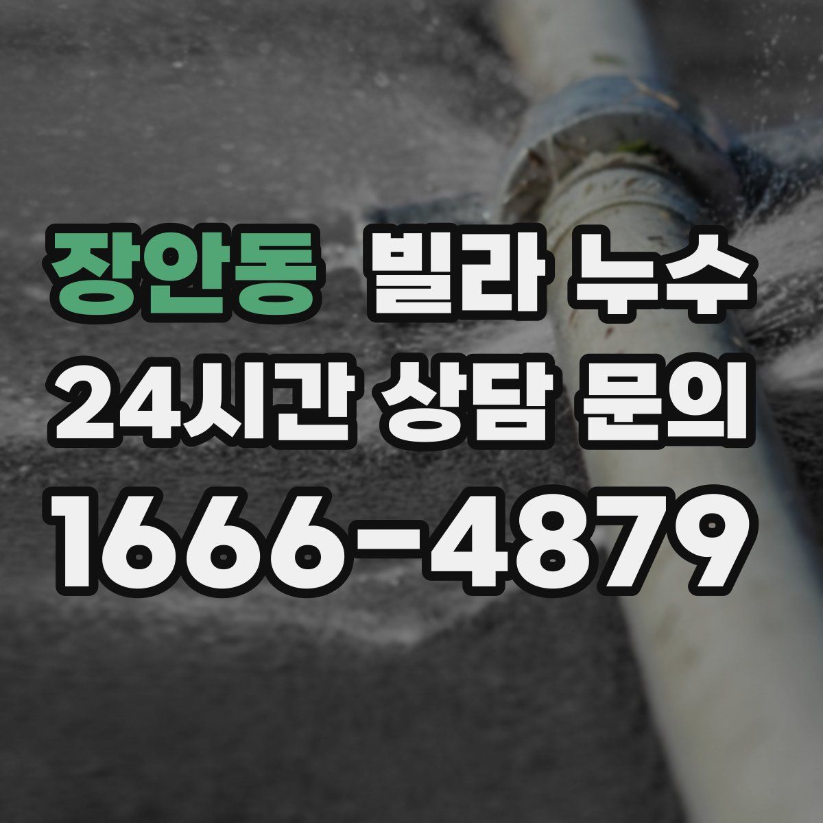 장안동 빌라 누수