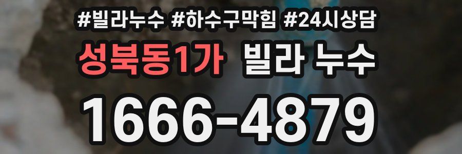 성북동1가 빌라 누수