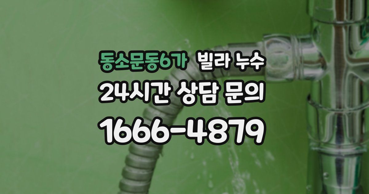 동소문동6가 빌라 누수