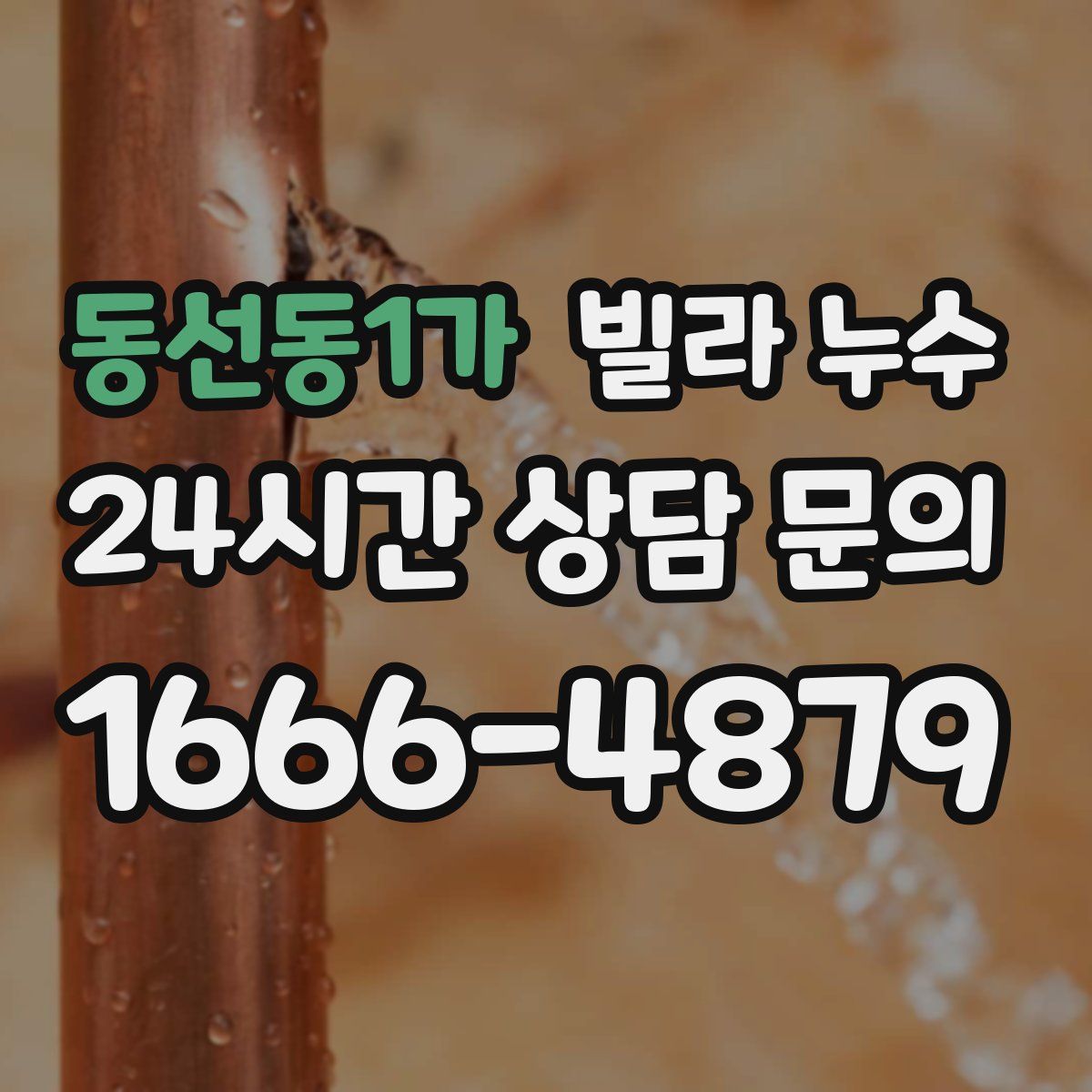 동선동1가 빌라 누수