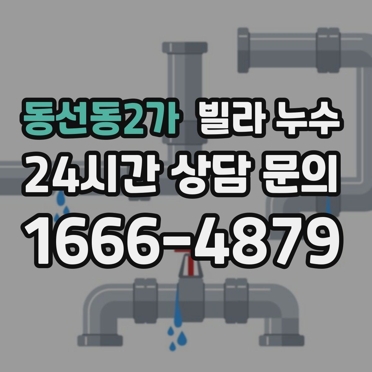 동선동2가 빌라 누수 위층에서 물을 쓰는 순간 아래층 천장이 젖는다면