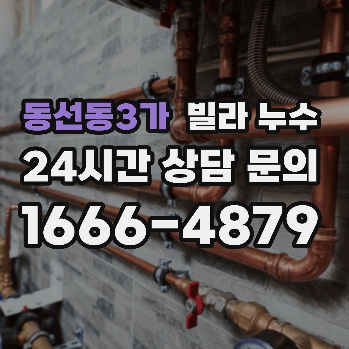 동선동3가 빌라 누수 누수 해결 후 건조가 왜 중요한가요