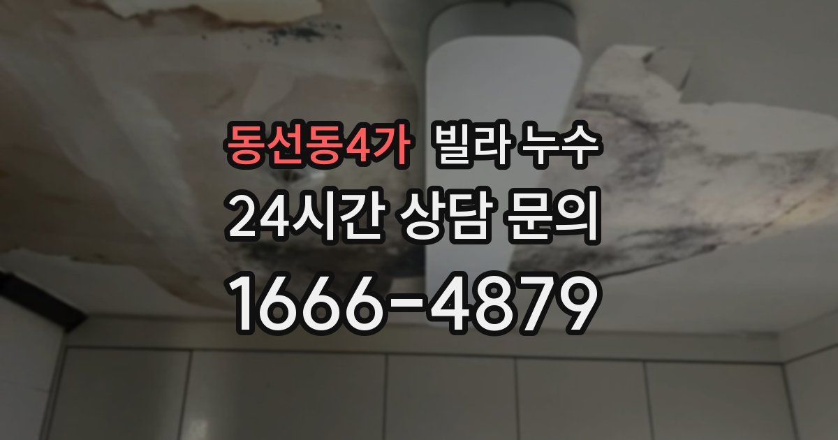 동선동4가 빌라 누수