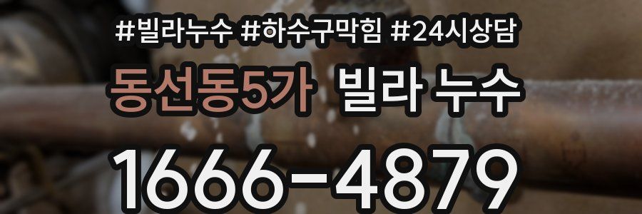 동선동5가 빌라 누수