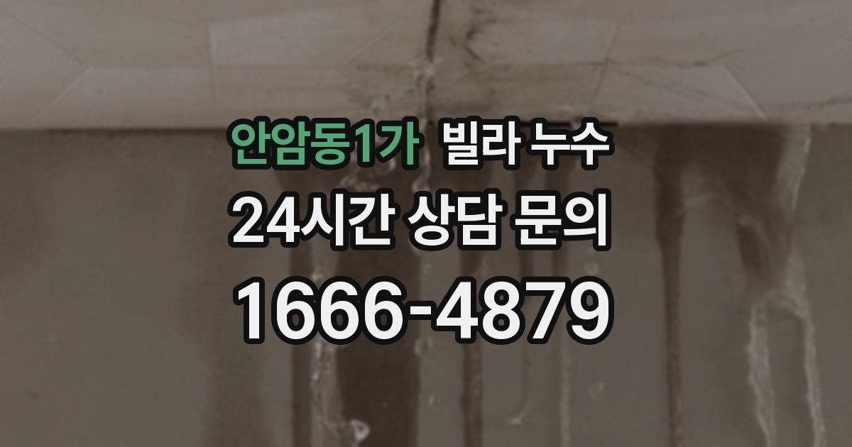 안암동1가 빌라 누수