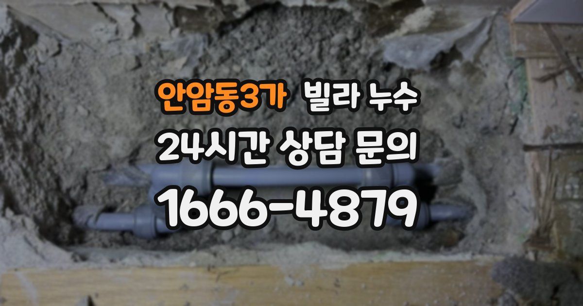 안암동3가 빌라 누수