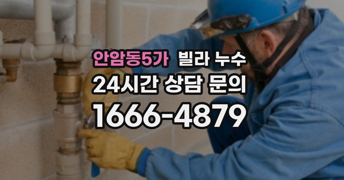 안암동5가 빌라 누수