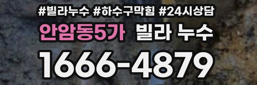 안암동5가 빌라 누수