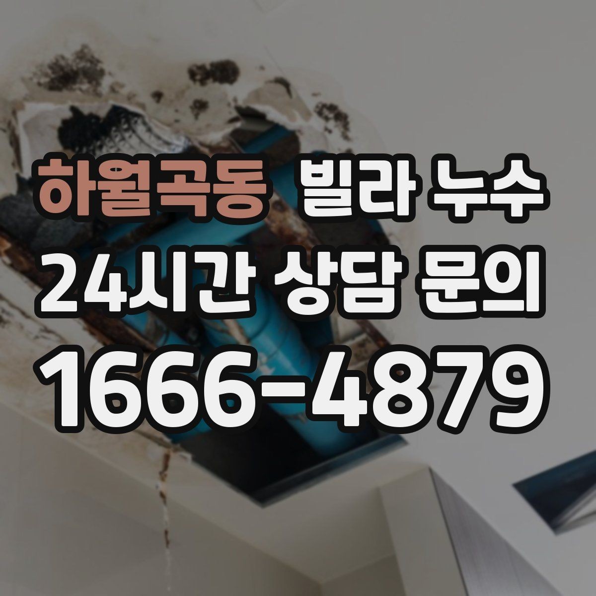 하월곡동 빌라 누수 주방 쪽 벽이 젖는다면 배관 가능성