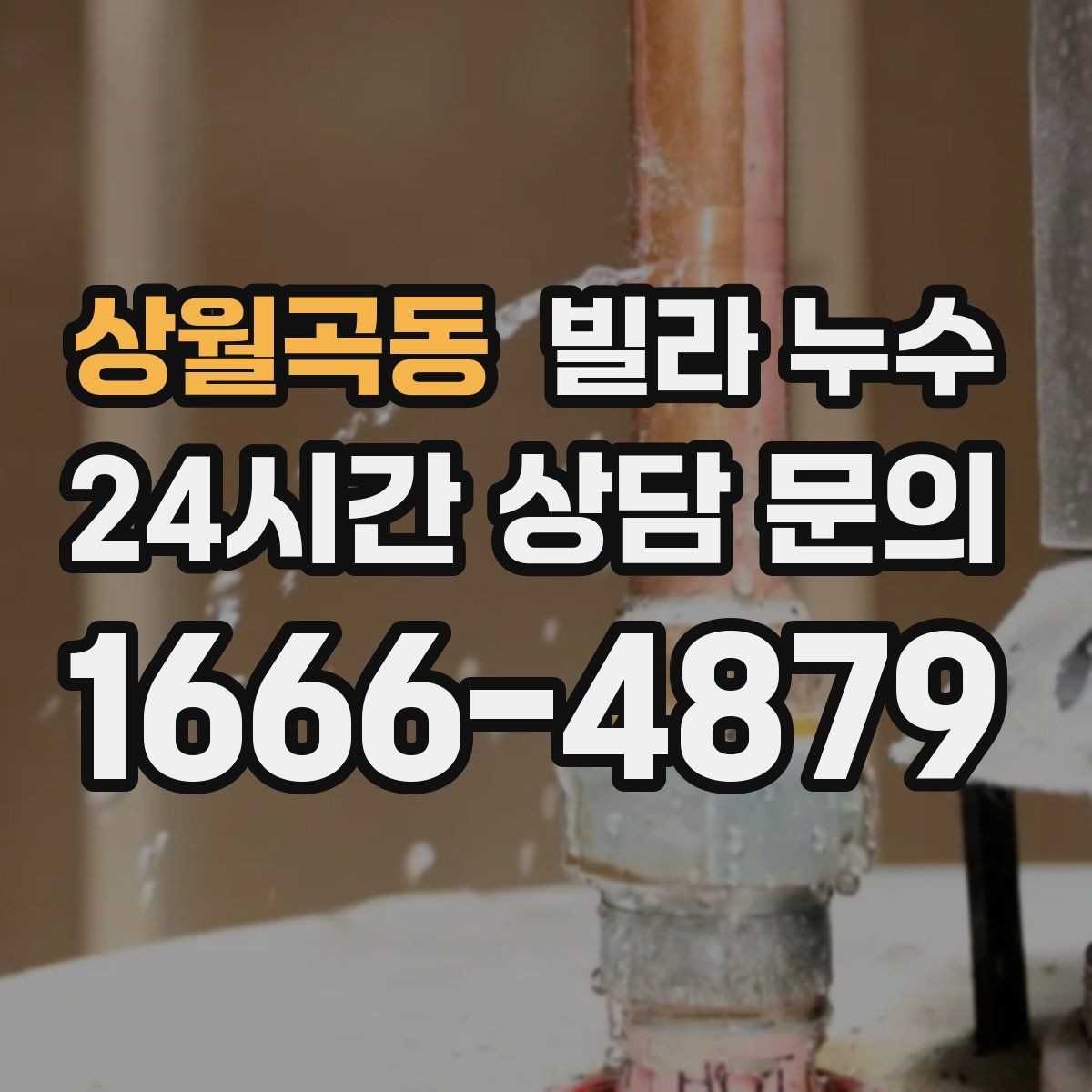 상월곡동 빌라 누수 계량기함 주변 물기 발견 시 점검 포인트