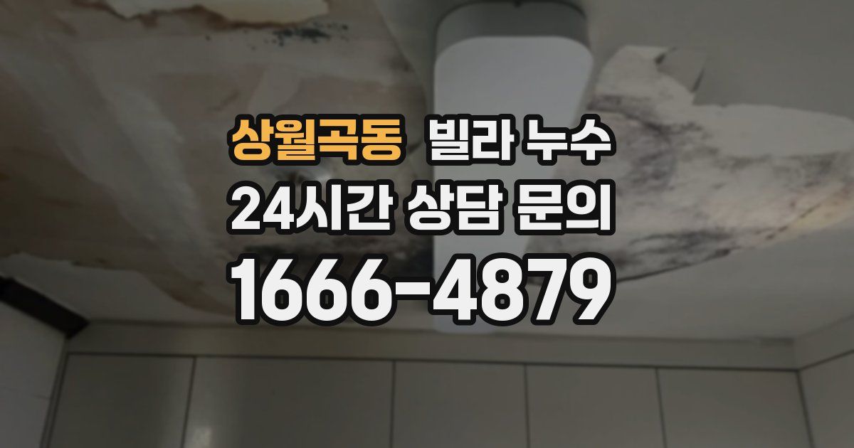 상월곡동 빌라 누수