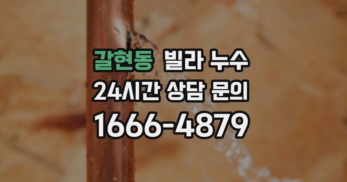 갈현동 빌라 누수