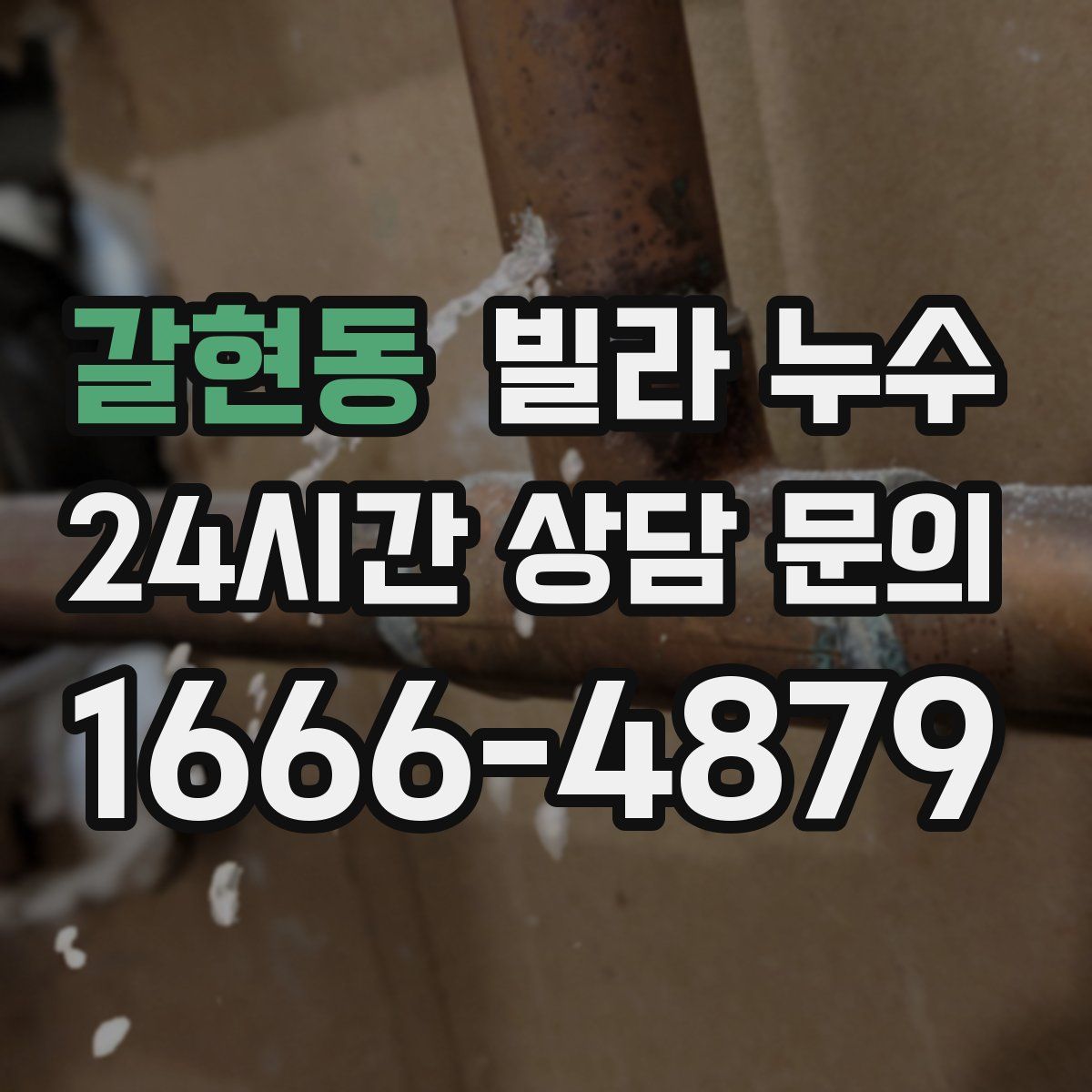 갈현동 빌라 누수