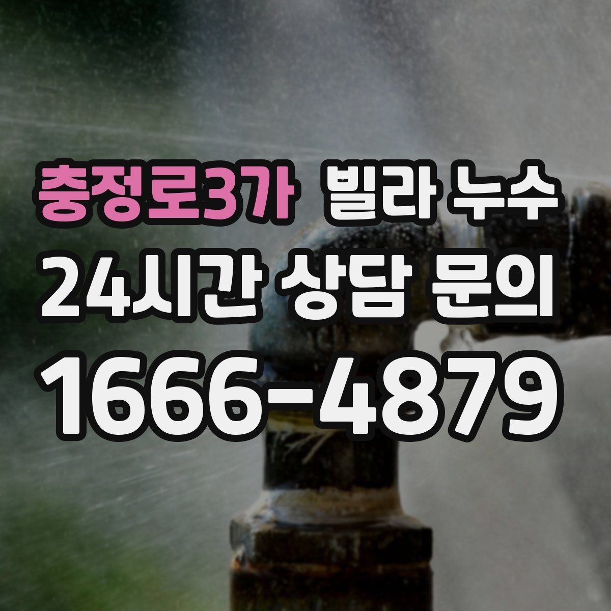 충정로3가 빌라 누수 계량기함 주변 물기 발견 시 점검 포인트