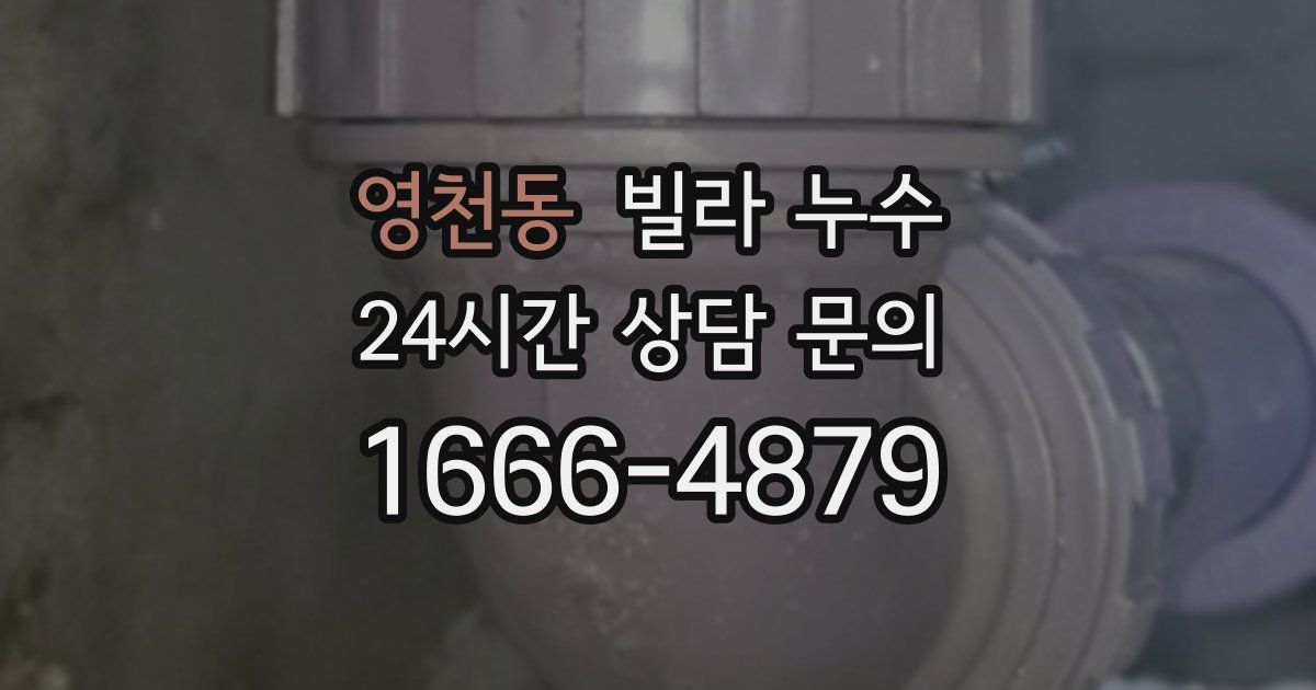 영천동 빌라 누수