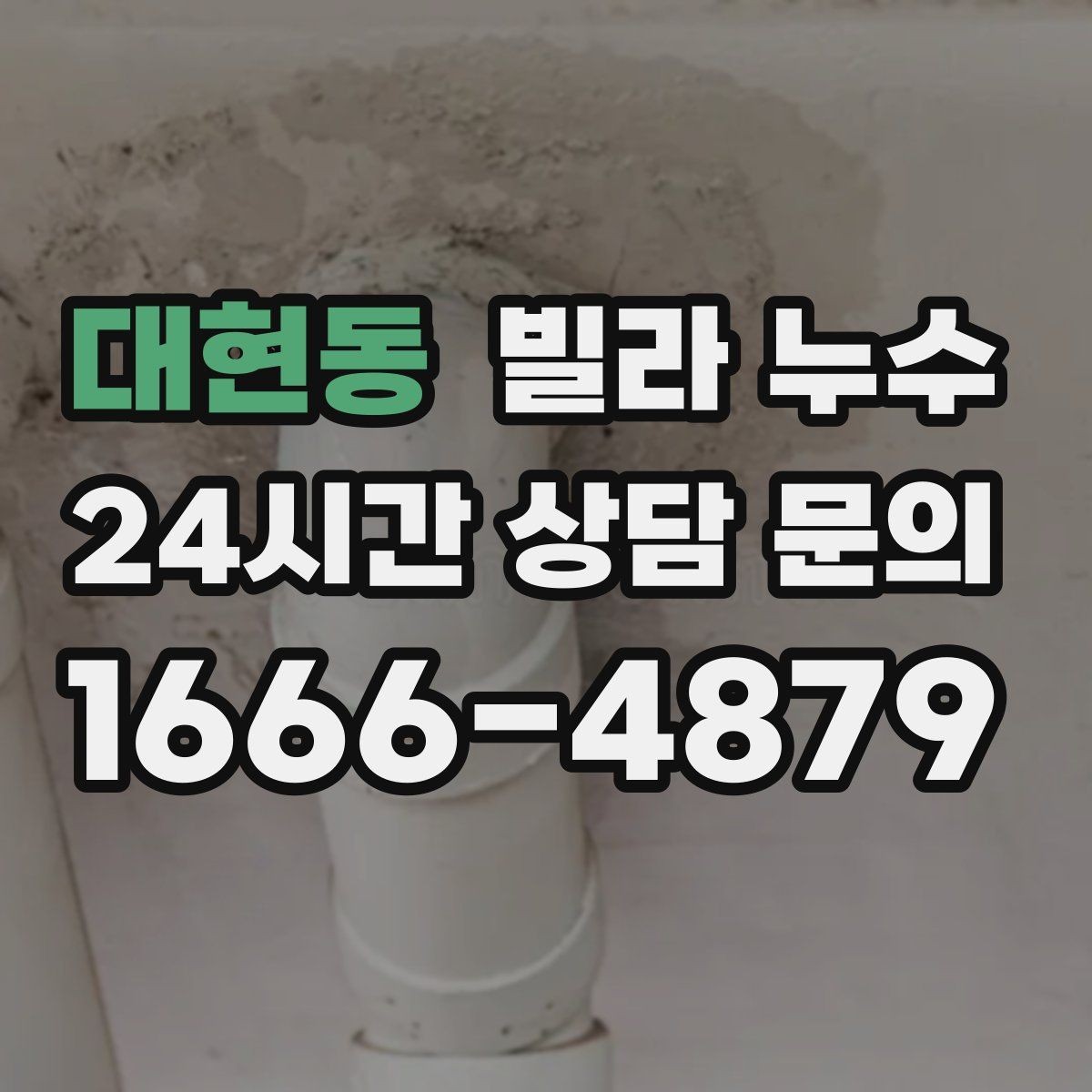 대현동 빌라 누수 몰딩이 들뜨고 변색되면 누수 가능성