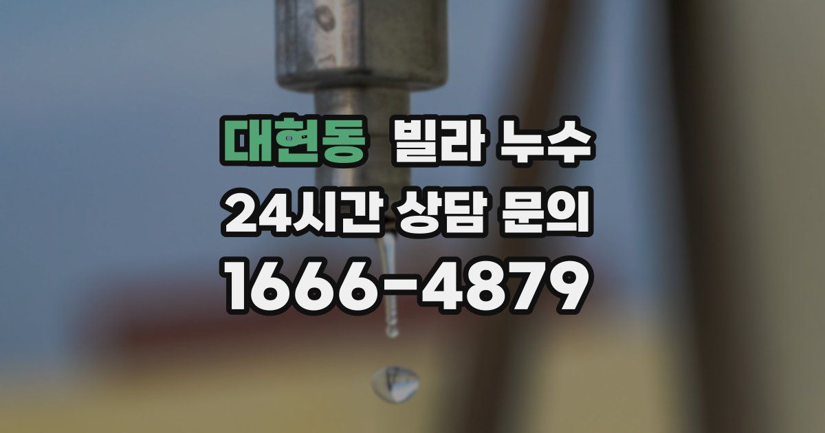 대현동 빌라 누수