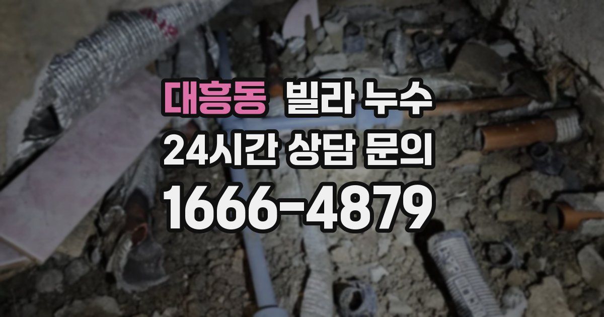 대흥동 빌라 누수