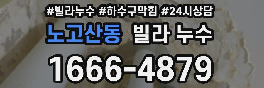 노고산동 빌라 누수